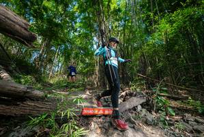 BIB: 
                            <button type="button" onclick="openModal(19388514)" class="btn btn-primary btn-sm float-right btn-popup" data-toggle="modal" data-target=".modal-high-quality">
                        <i class="fas fa-shopping-cart"></i> Add to Cart
                    </button>
                                            <button type="button" onclick="isThisMe(19388514, true)" class="btn btn-success btn-sm float-right btn-popup btn-isme hidden" data-toggle="tooltip" data-placement="bottom" title="นี่คือรูปของคุณใช่ไหม คลิกที่นี่เพื่อเอาเข้าอัลบั้ม">
                        <i class="fas fa-plus"></i> Add to album
                    </button>
                    <button type="button" onclick="isThisMe(19388514, false)" class="btn btn-warning btn-sm float-right btn-popup btn-isnotme hidden">
                        <i class="fas fa-ban"></i> Remove from album
                    </button>